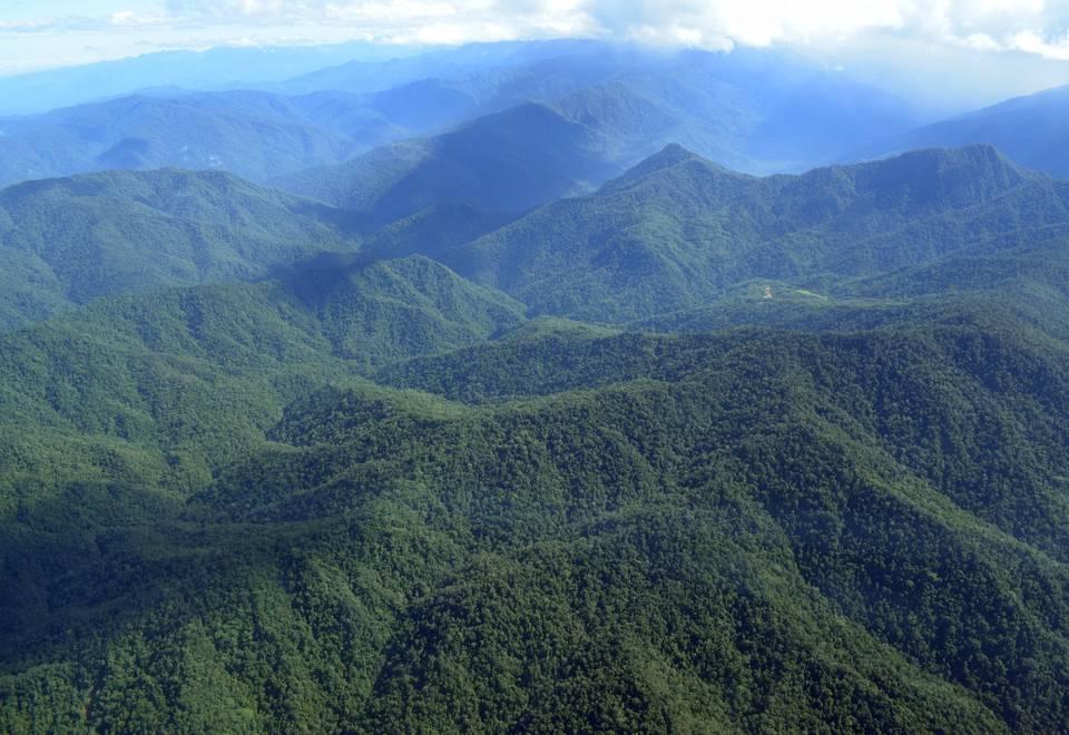 Forested mountain ridges of Papua New Guinea from the air