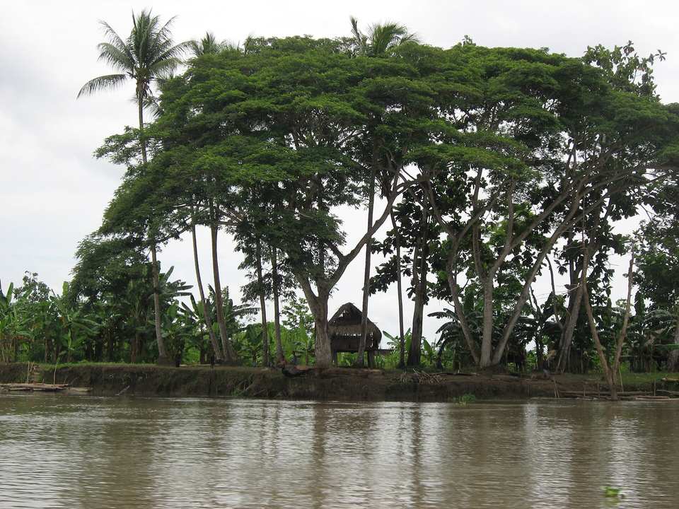 A tropical river bend with exposed gravel banks between forested shores